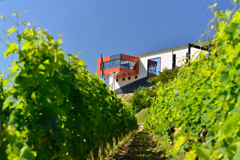 Château La Croizille