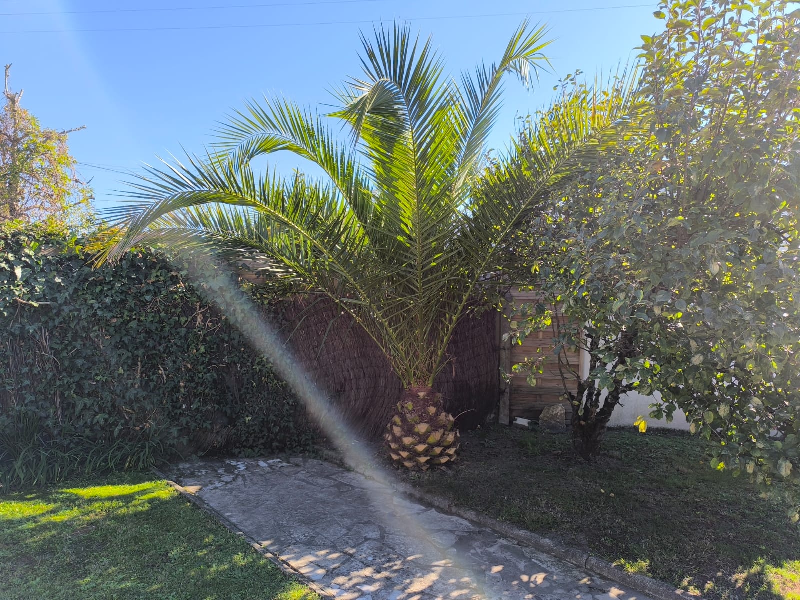 Maison Jarry, Gujan-Mestras - photo 9