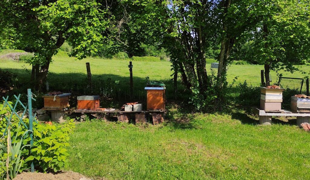 Les chambres de Dougneix, Champsac - photo 7