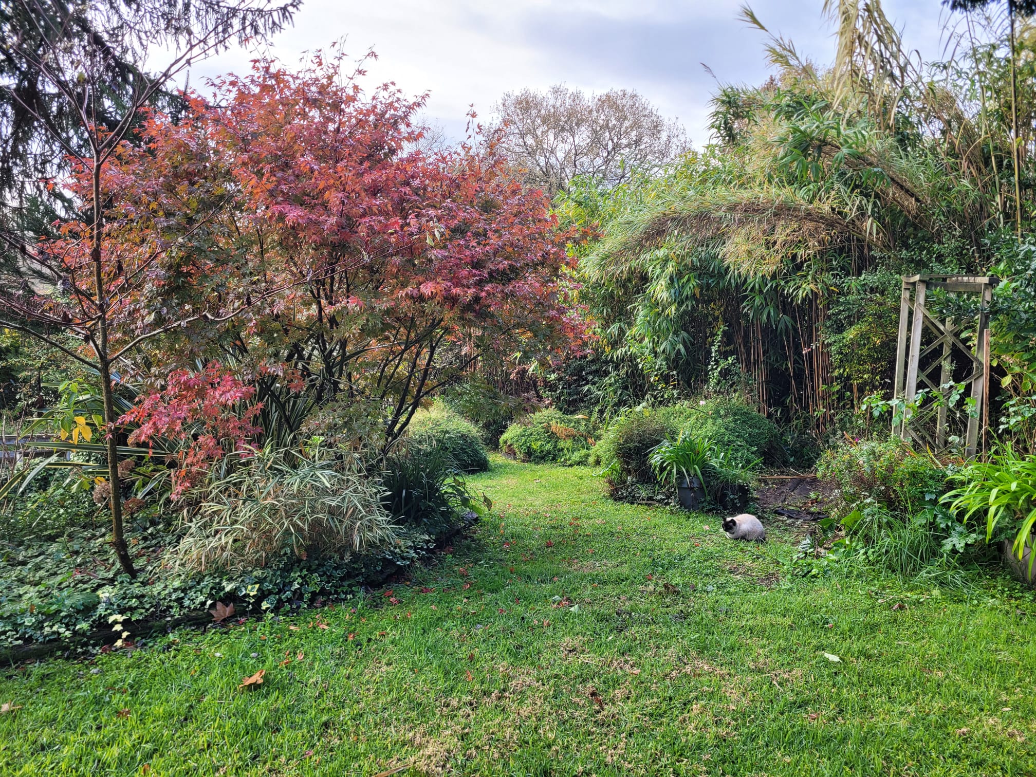 La Maison des Peintres, Montfort-en-Chalosse - photo 24