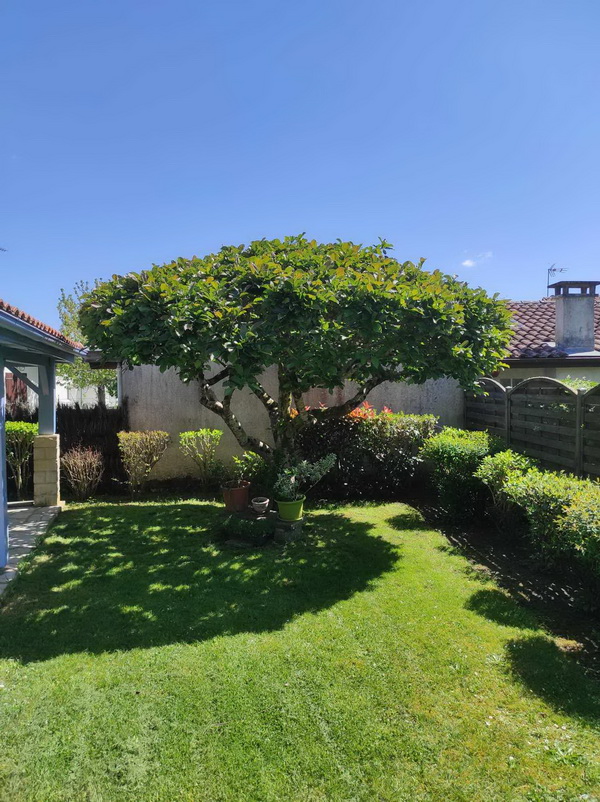 T4 - 1 à 6 pers. - Villa Utzi Bakean, Saint-Paul-lès-Dax - photo 9