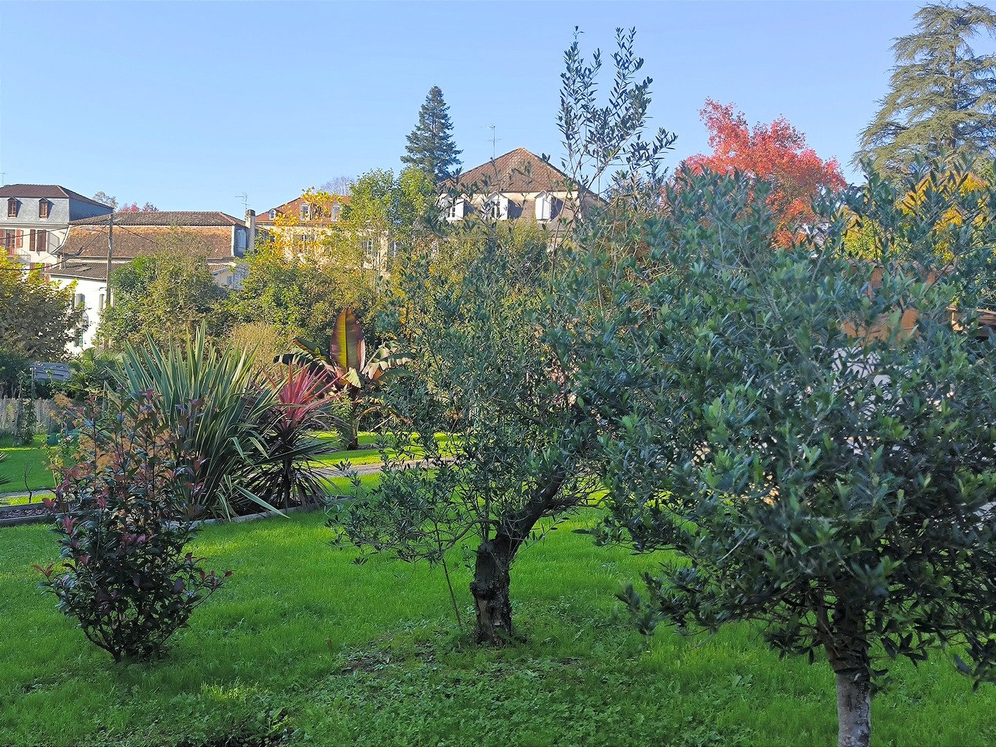Studio Les Treilles de Salies, Salies-de-Béarn - photo 18