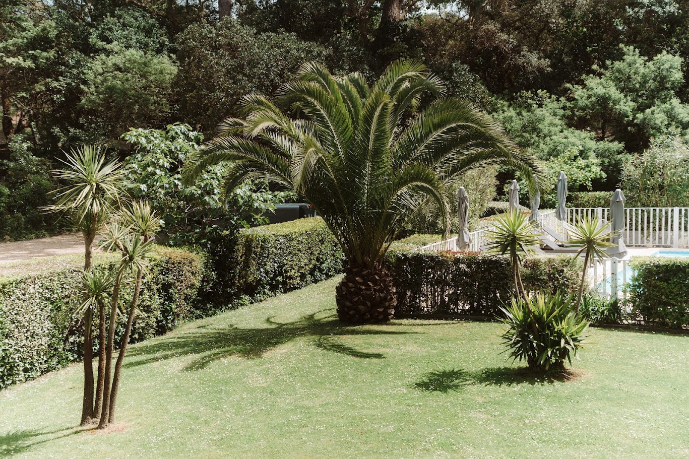 Les Fougères - photo 4