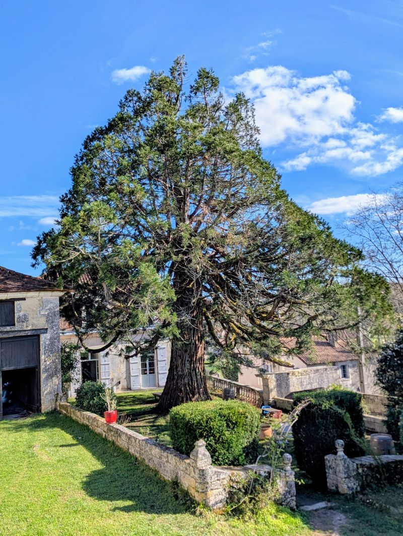 Domaine de la Dordrona, Bourdeilles - photo 4