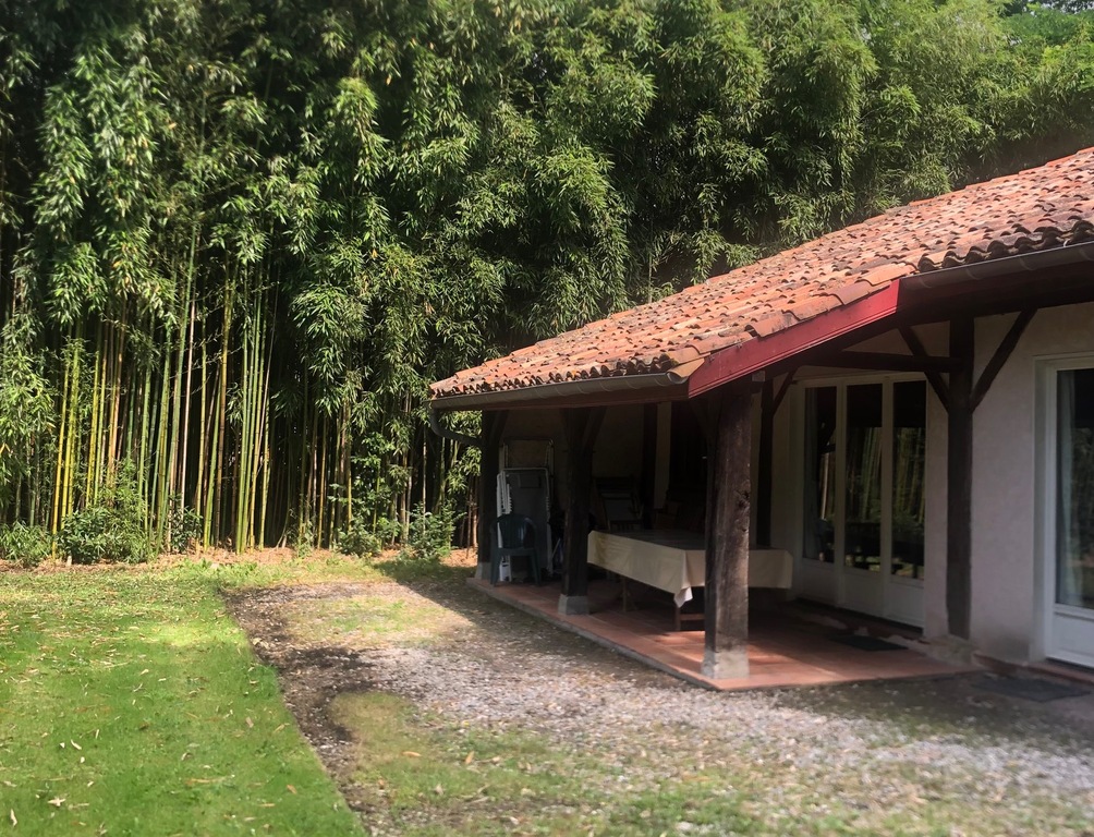 Le Domaine de Palumbo, Vicq-d'Auribat - photo 7