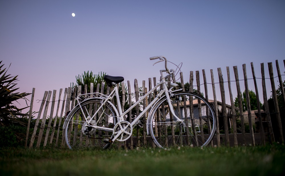 La Petite Couronne, Ecolodge & Lofts, Saint-Cricq-Chalosse - photo 4