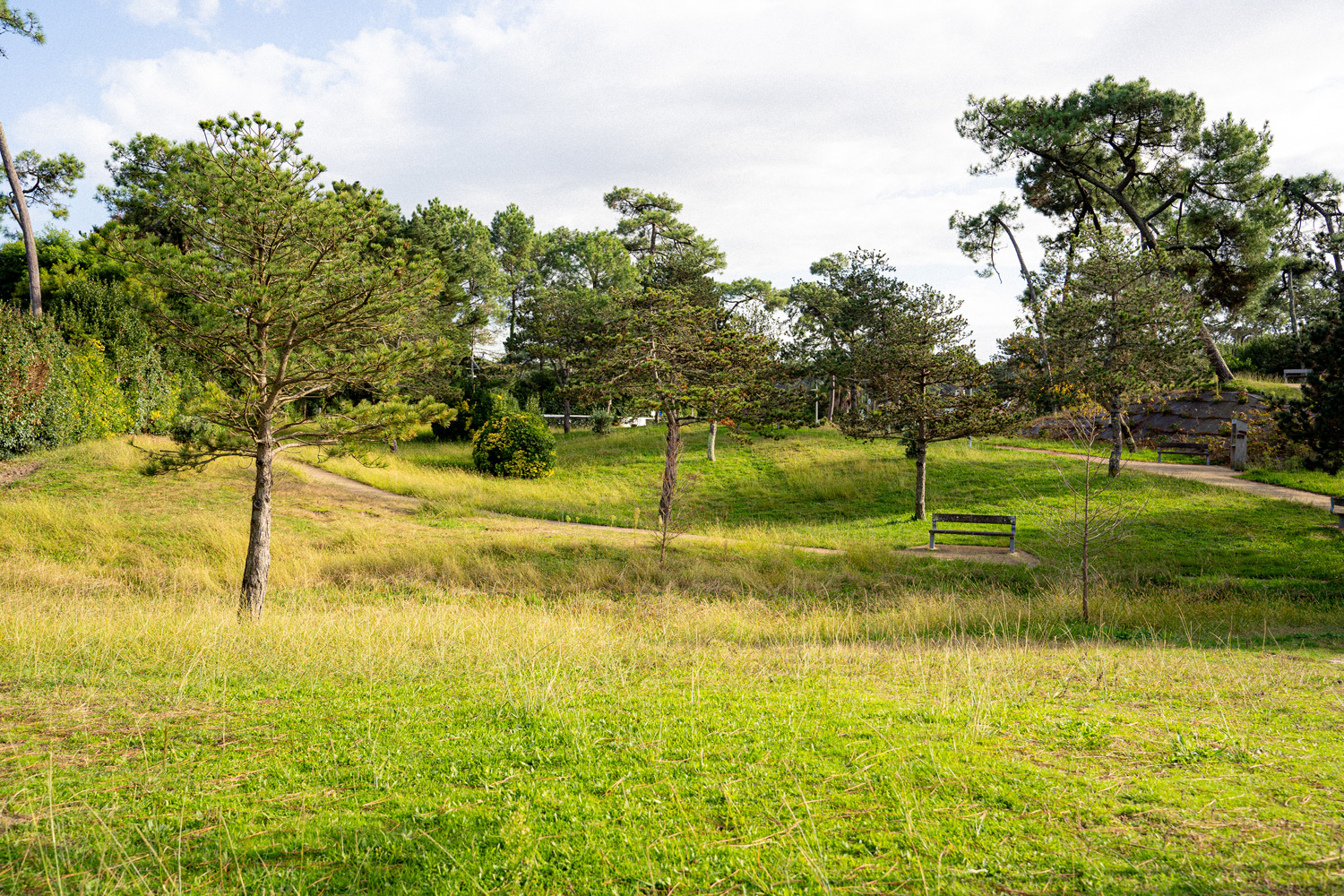 Jardin Lichtenberger — Parcs & Jardins à Pyrénées-Atlantiques