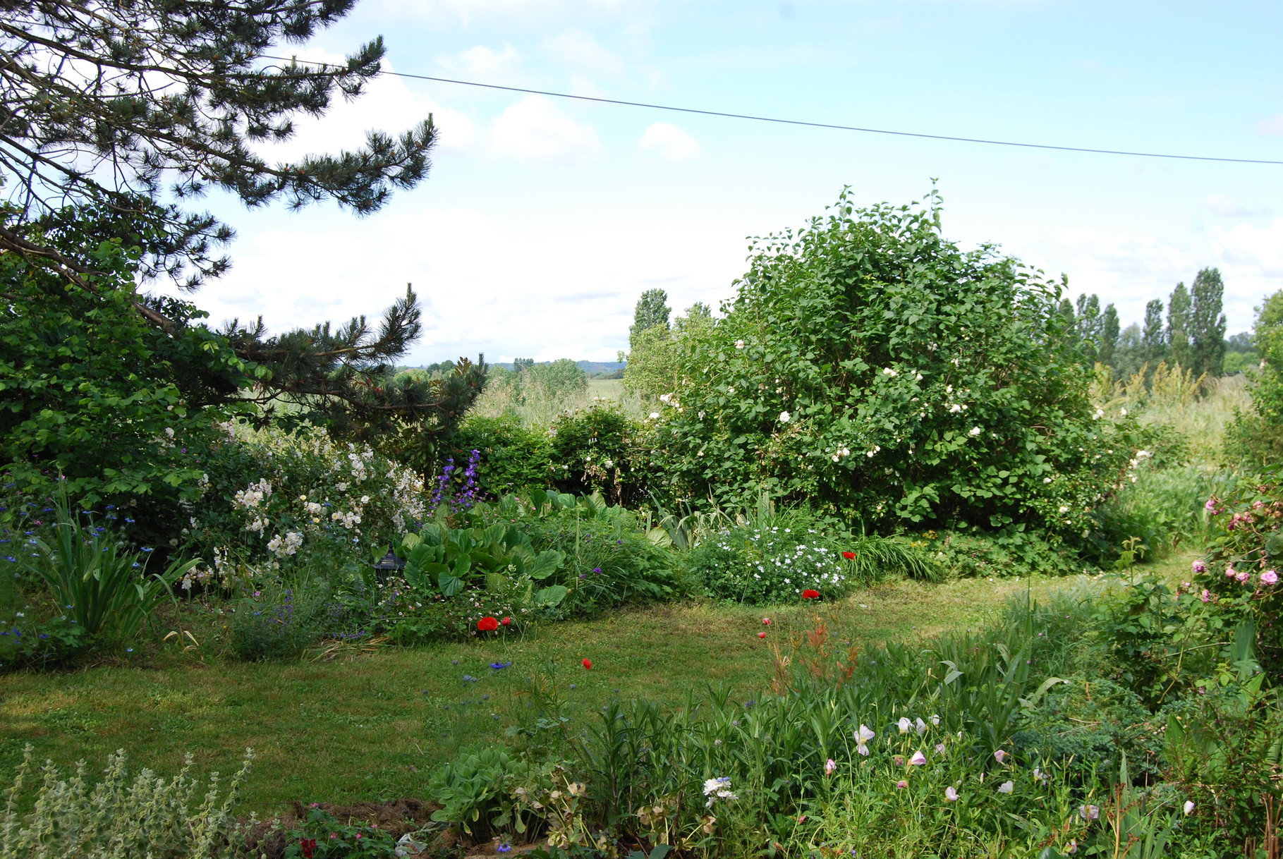 Découverte du jardin fleuri de Marie Ange Rumeau