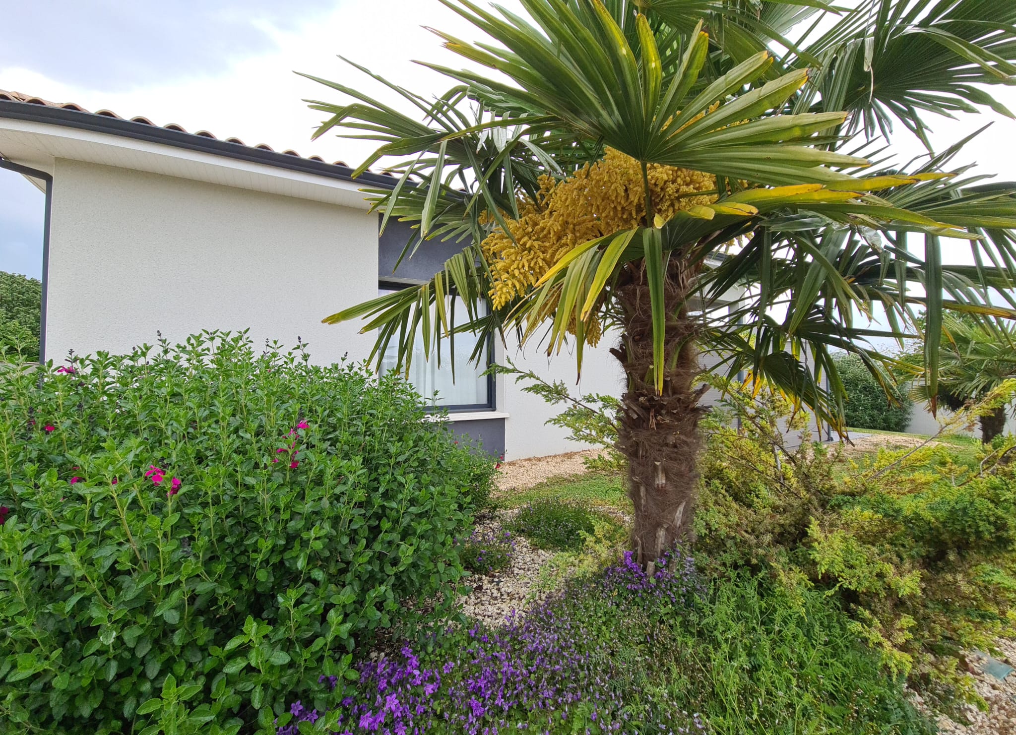 Emlavie - Maeta, Chasseneuil-du-Poitou - photo 14