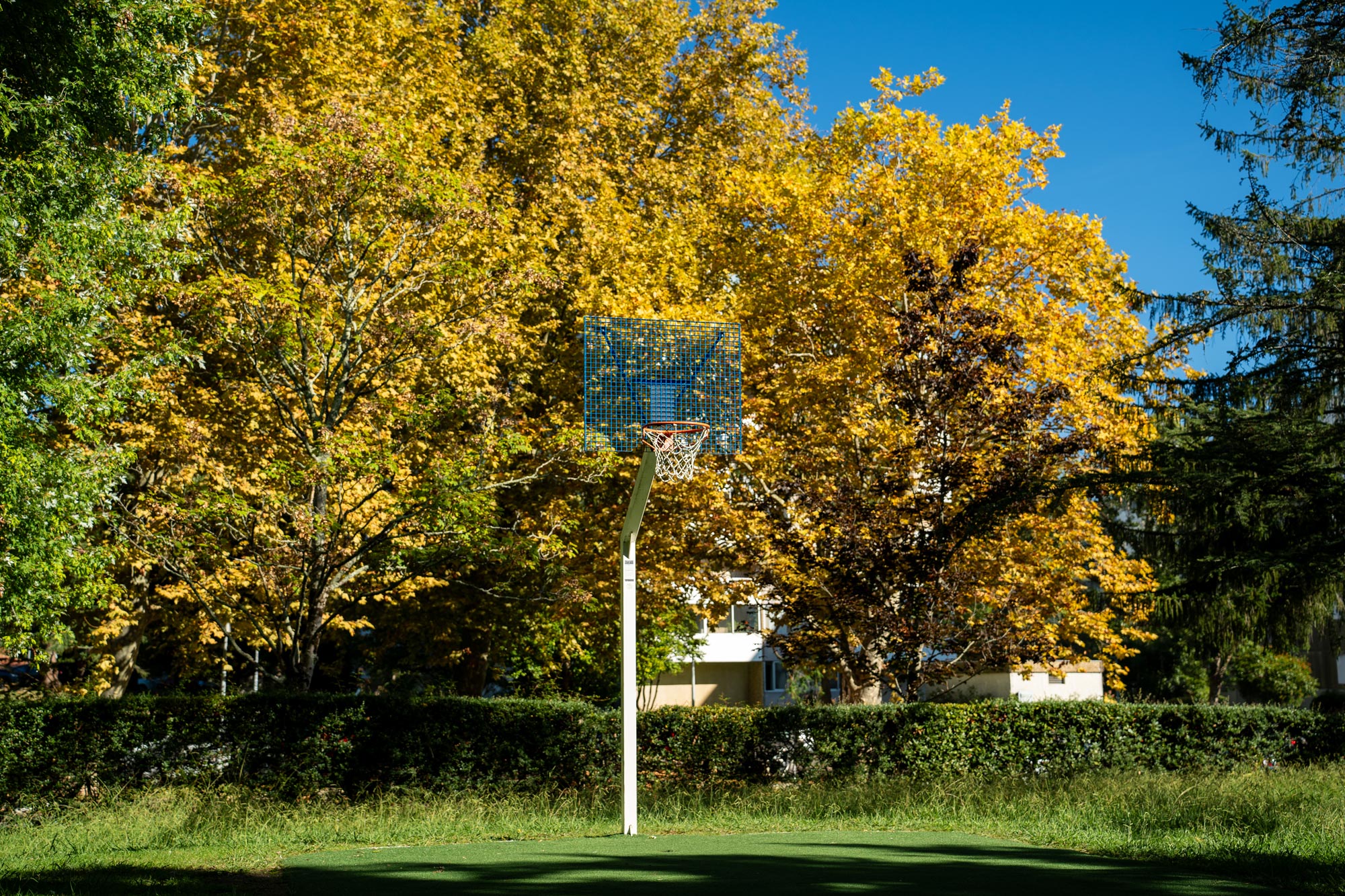 Jardin Manuel de Falla, Anglet - photo 5