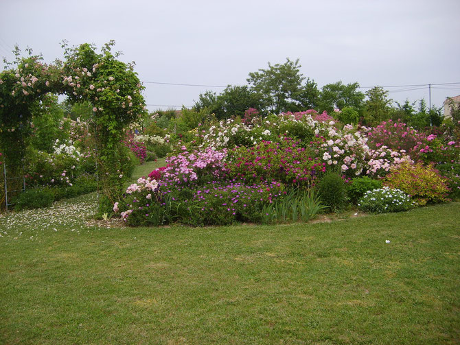 Le jardin de Mireille