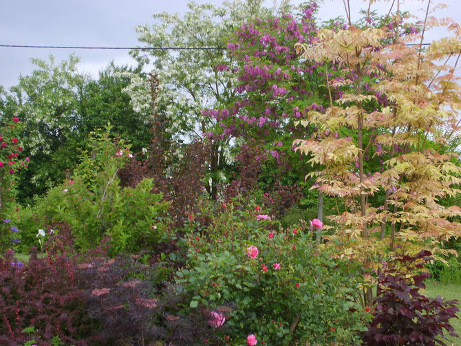 Le jardin de Mireille, Auriac-sur-Dropt - photo 4