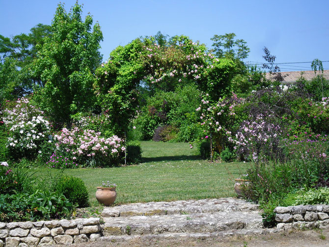 Le jardin de Mireille, Auriac-sur-Dropt - photo 11