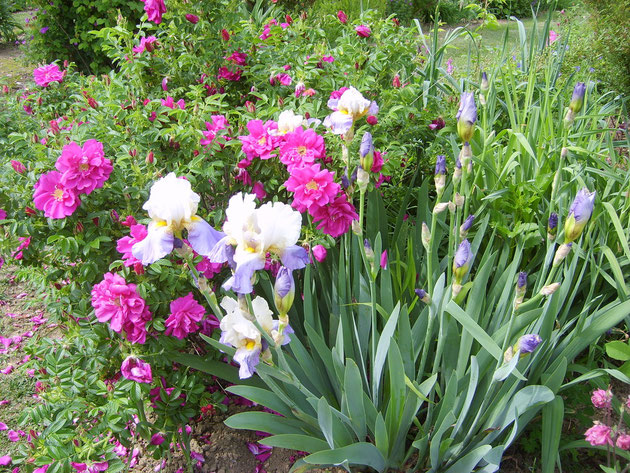 Le jardin de Mireille, Auriac-sur-Dropt - photo 15