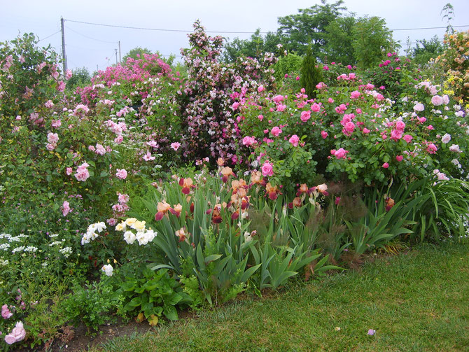 Le jardin de Mireille, Auriac-sur-Dropt - photo 24