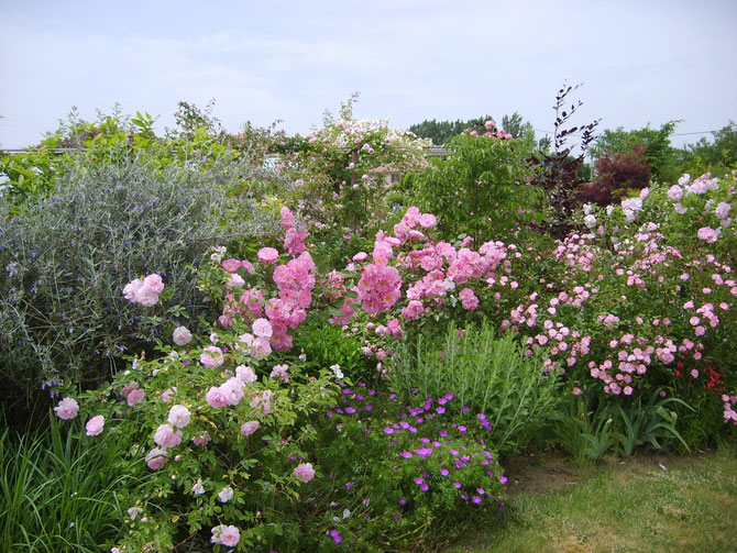 Le jardin de Mireille, Auriac-sur-Dropt - photo 39