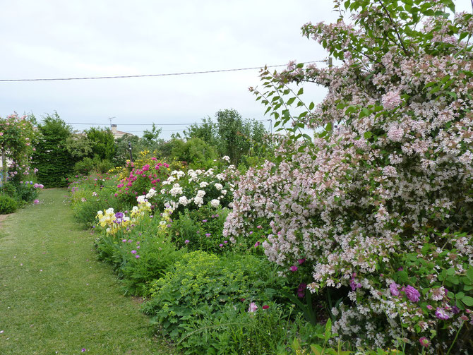 Le jardin de Mireille, Auriac-sur-Dropt - photo 38
