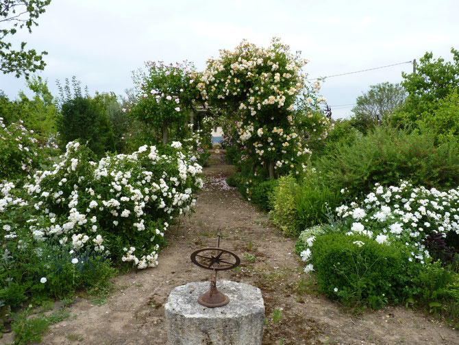 Le jardin de Mireille, Auriac-sur-Dropt - photo 8