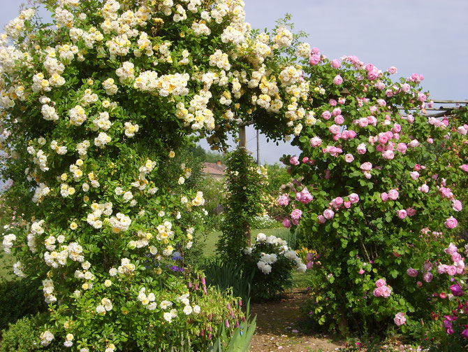 Le jardin de Mireille, Auriac-sur-Dropt - photo 22