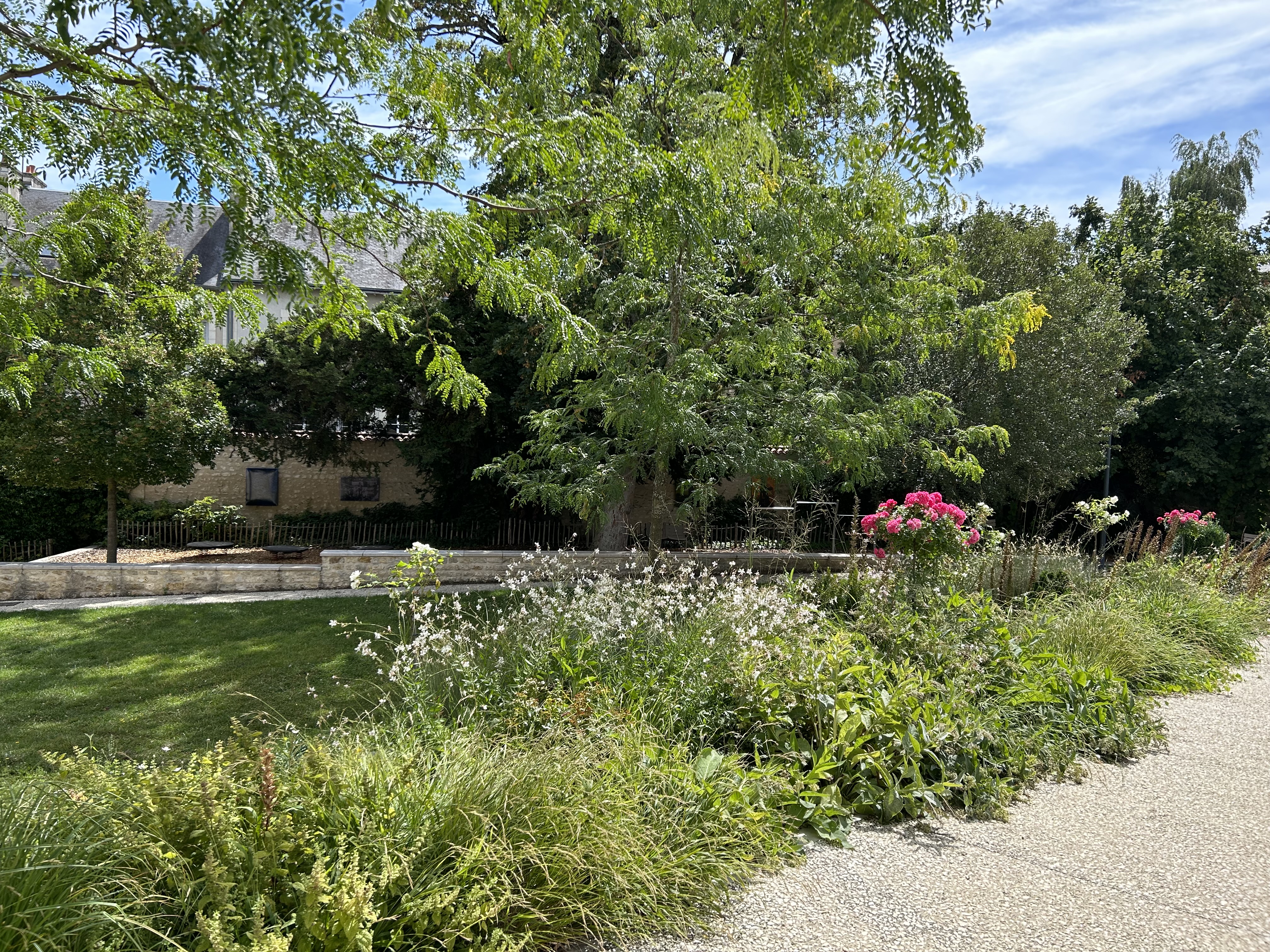 Jardin Simone Veil, Poitiers - photo 2