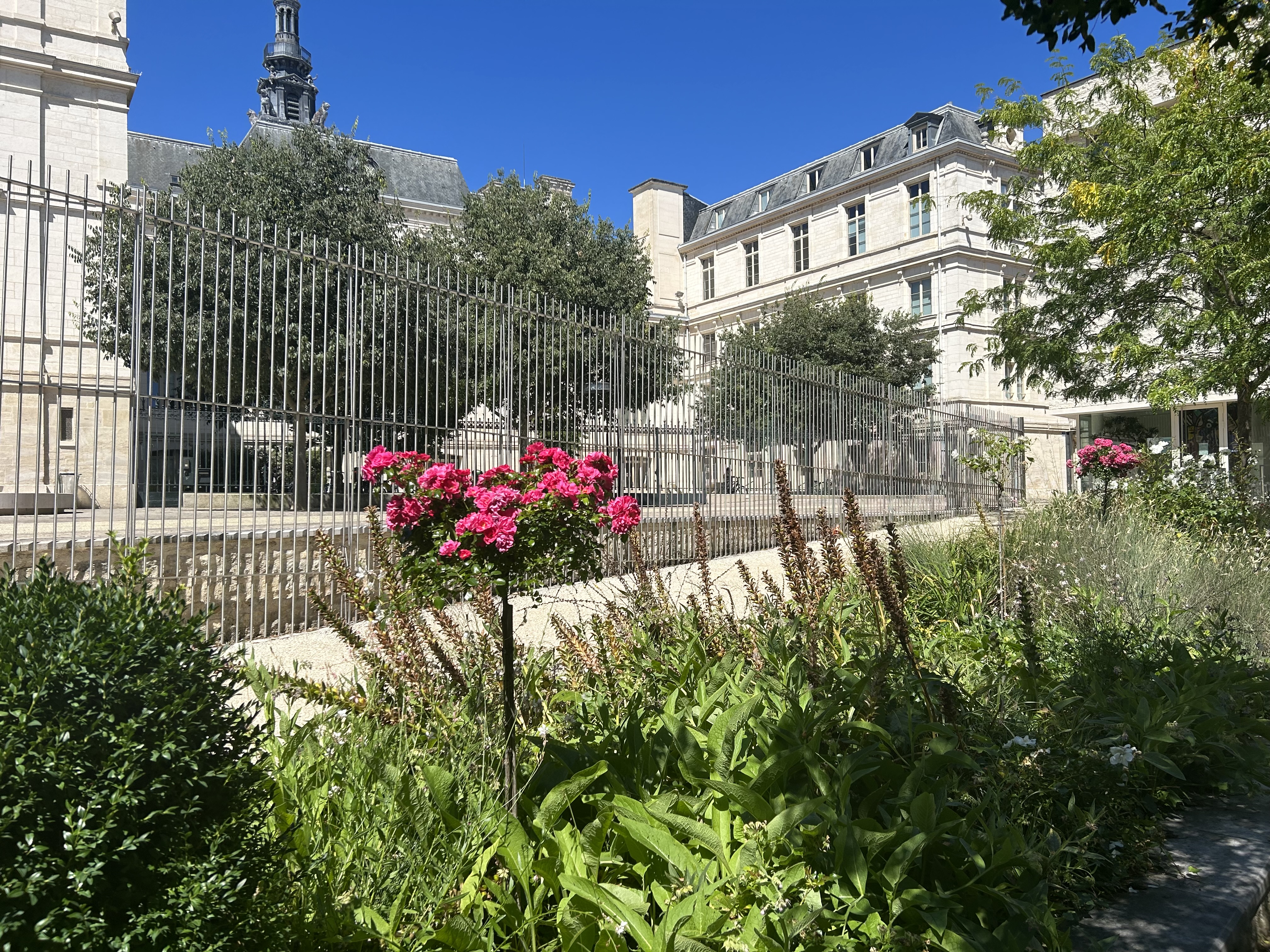 Jardin Simone Veil, Poitiers - photo 3