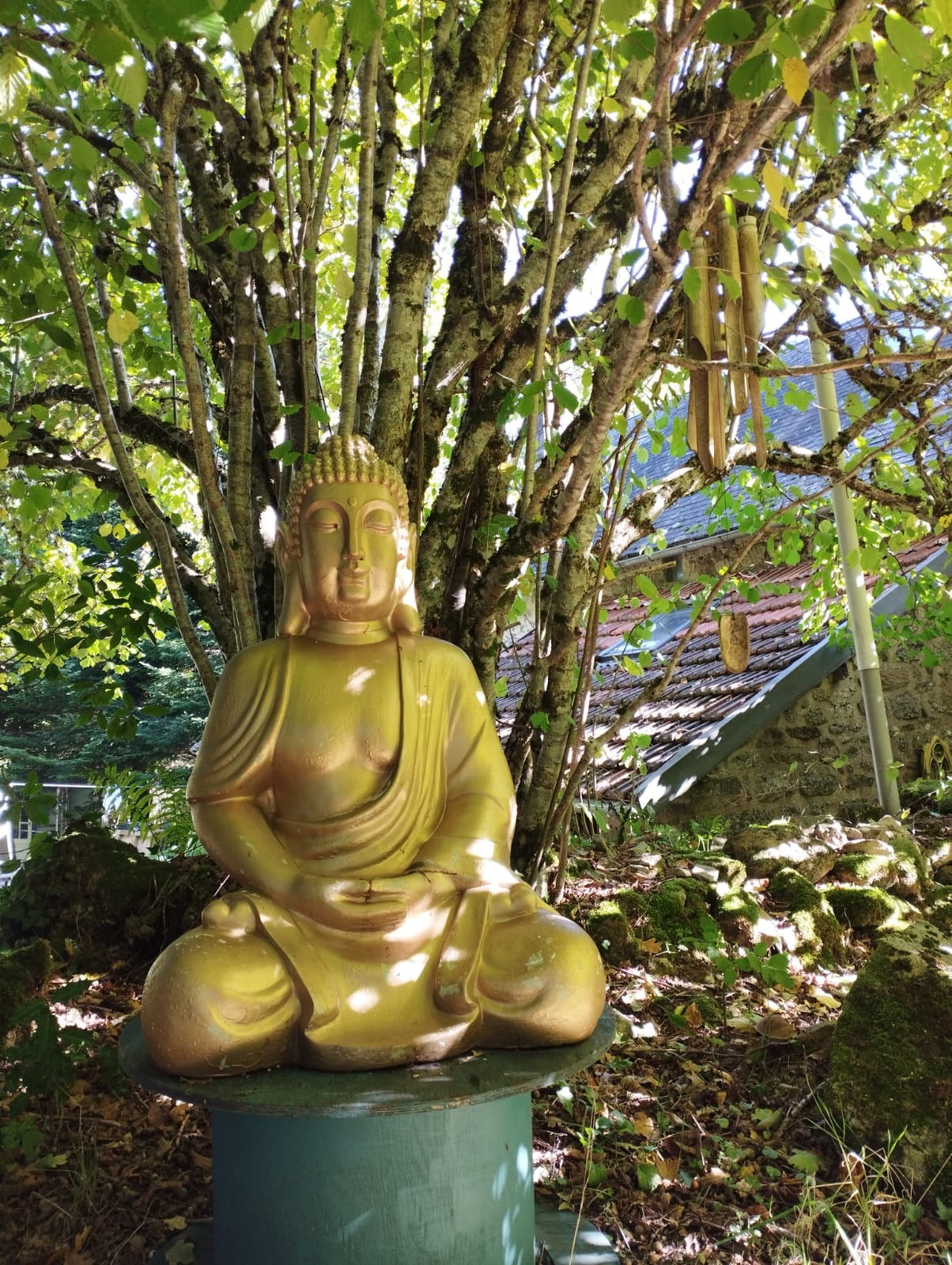 Maison 3 Limousin, Saint-Pierre-Bellevue - photo 19