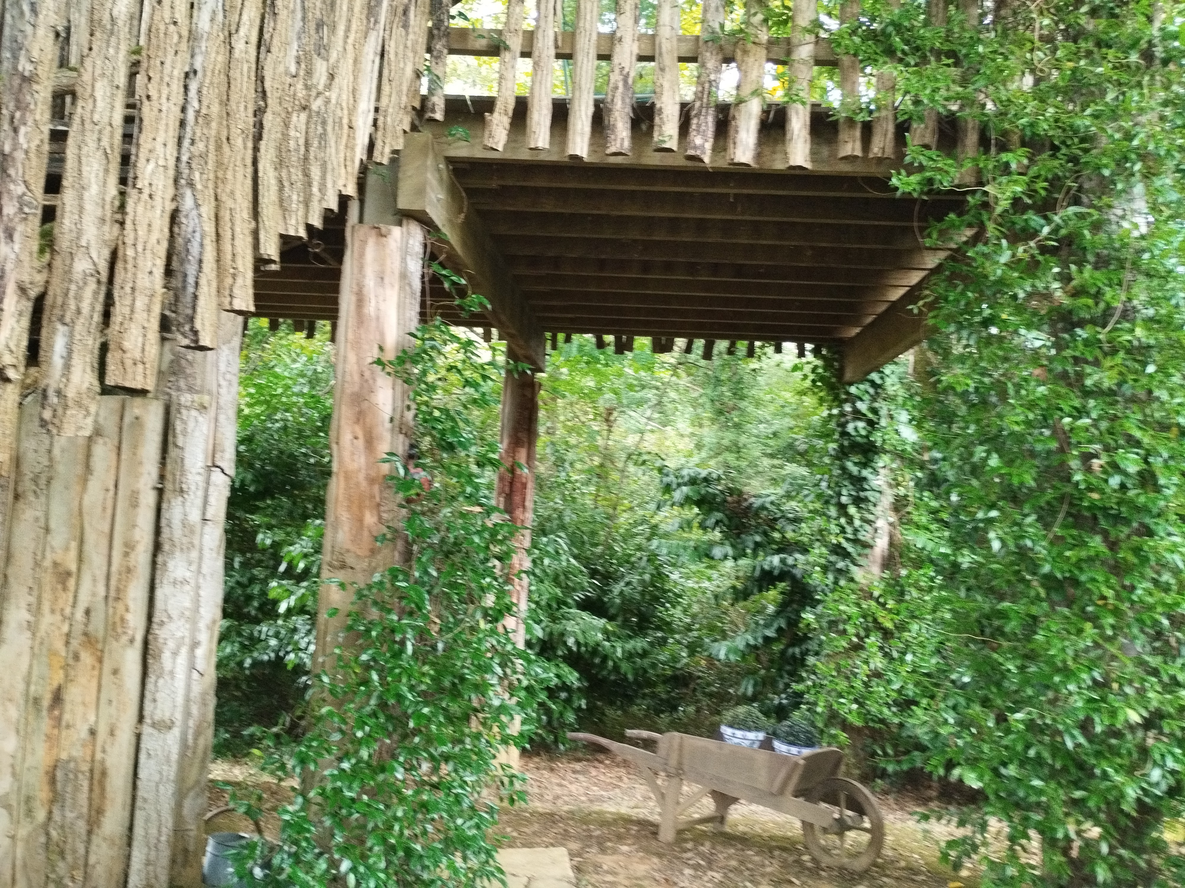 Cabane dans les arbres : la Papyjotte, Montfort-en-Chalosse - photo 12
