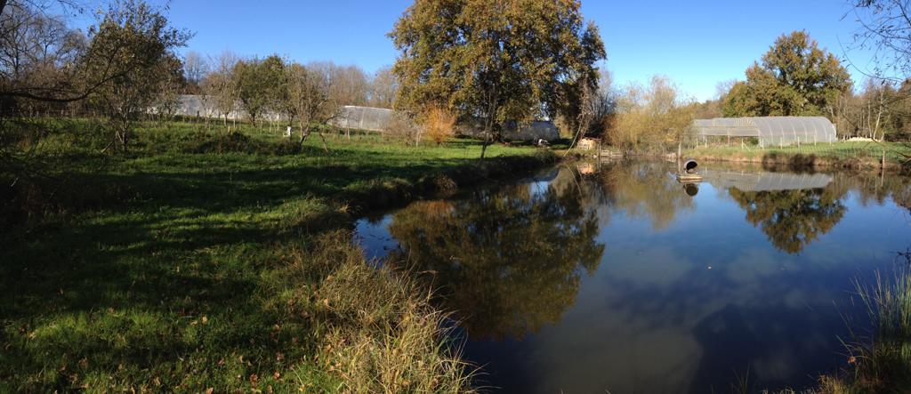 Atelier "Dans les bottes de la maraîchère" - photo 2