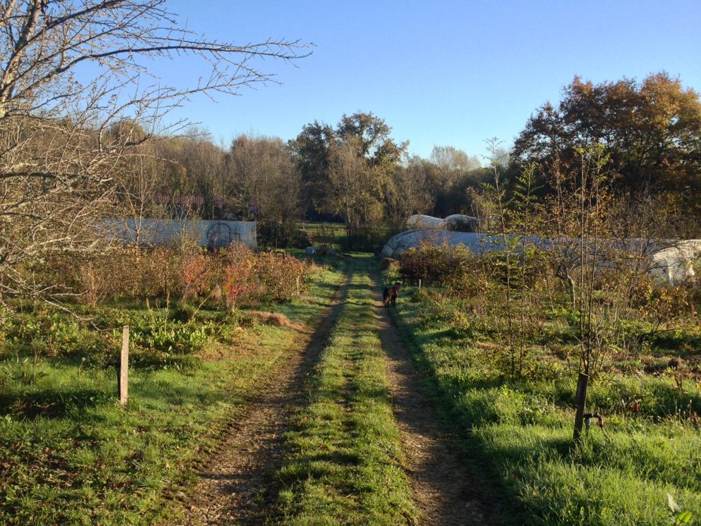 Atelier "Confection d'un produit à la demande"