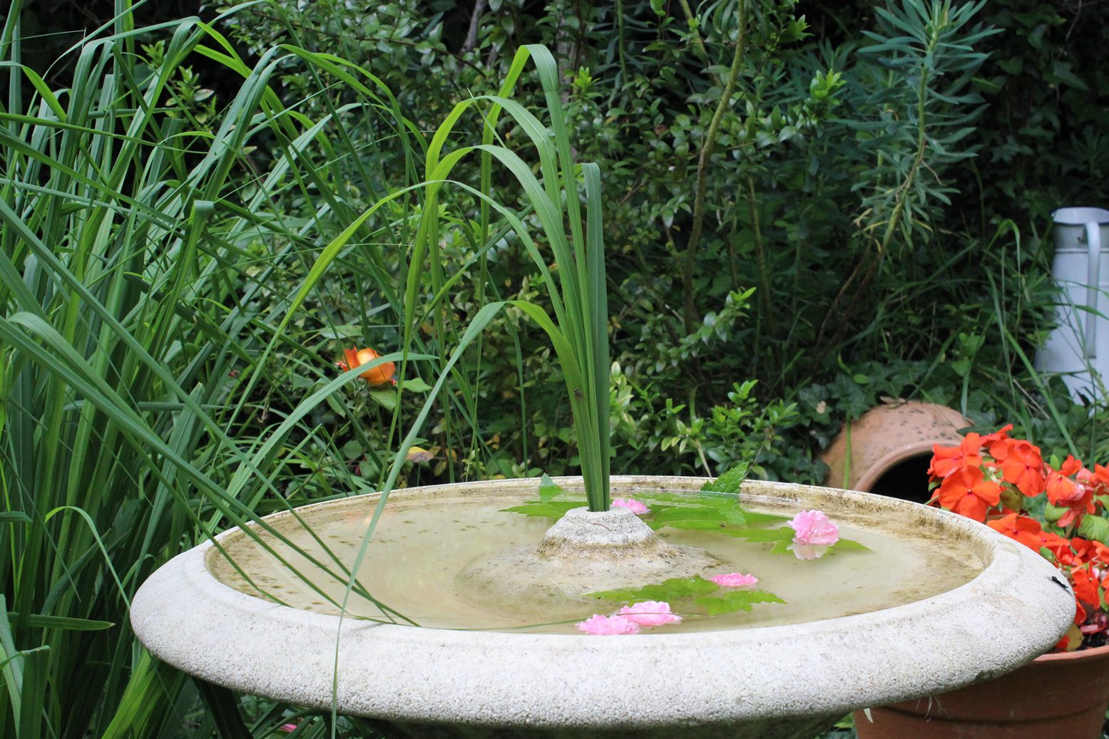 Le Jardin de Boissonna, Baleyssagues - photo 16