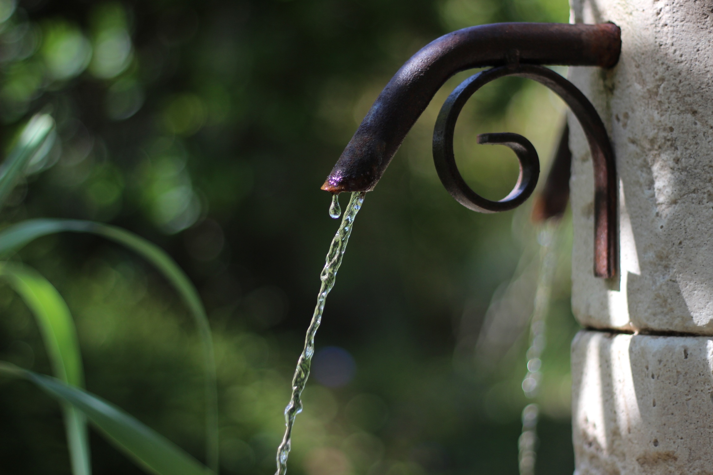 Le Jardin de Boissonna, Baleyssagues - photo 6