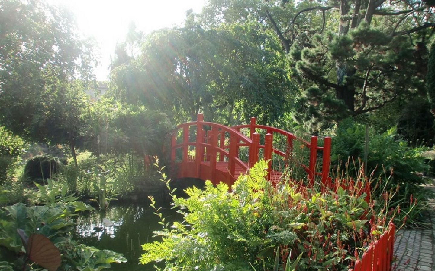 Pause Patrimoine : les jardins acte 2 le jardin botanique — visuel événement