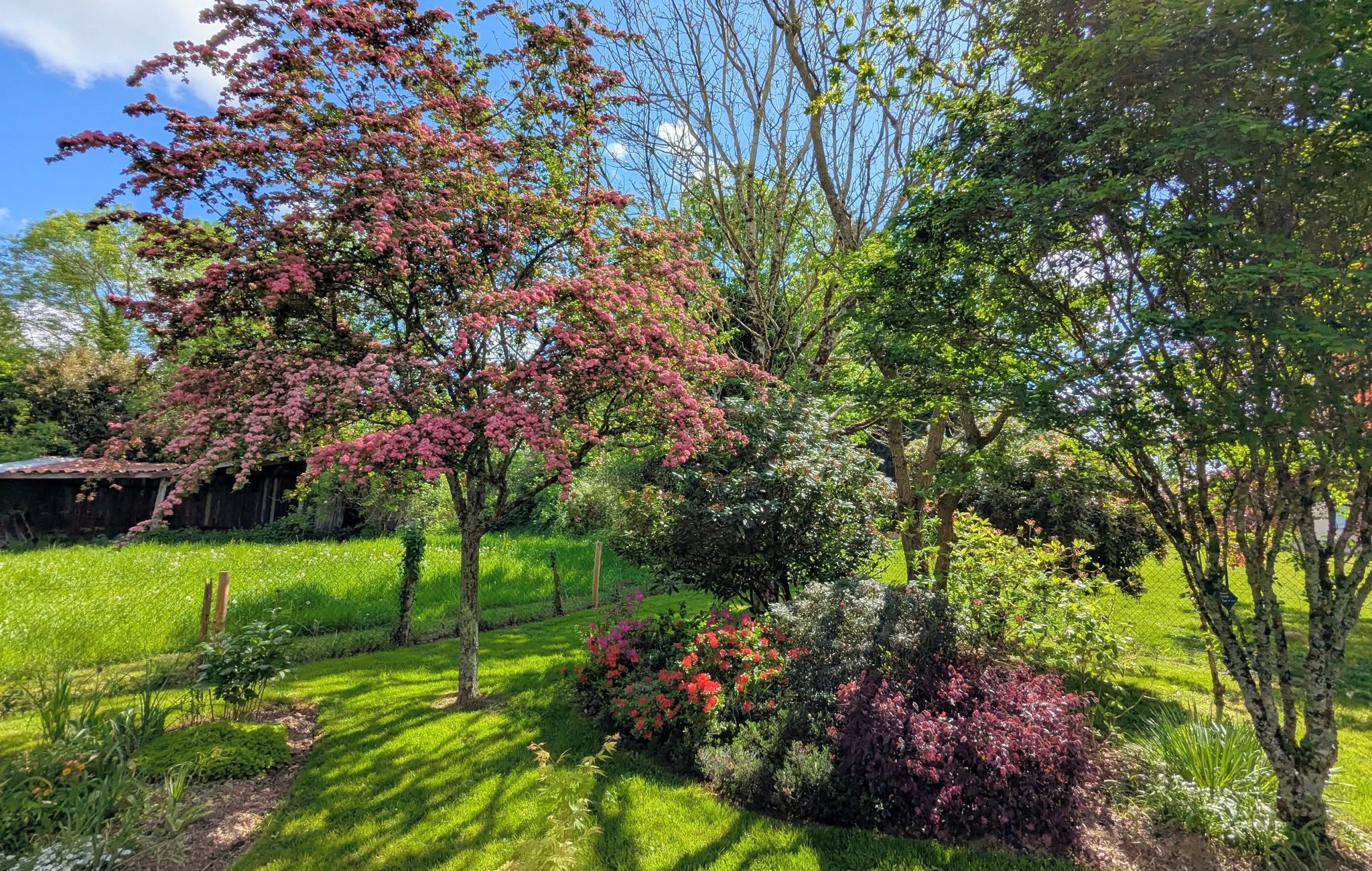 Visite du jardin de l'Emile au Foyer Rural — visuel événement