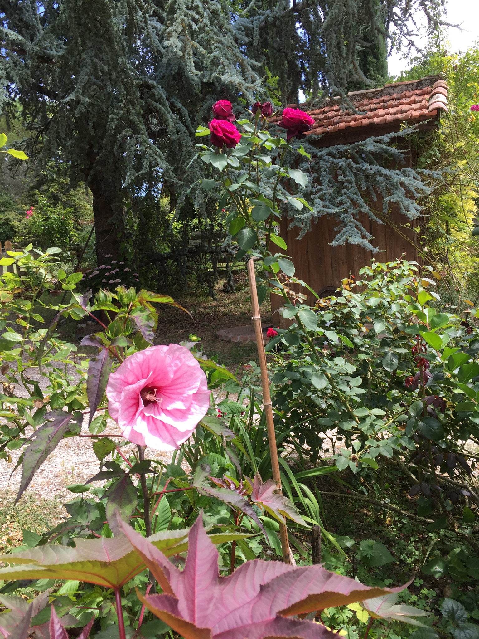 Le Jardin de Boissonna, Baleyssagues - photo 17