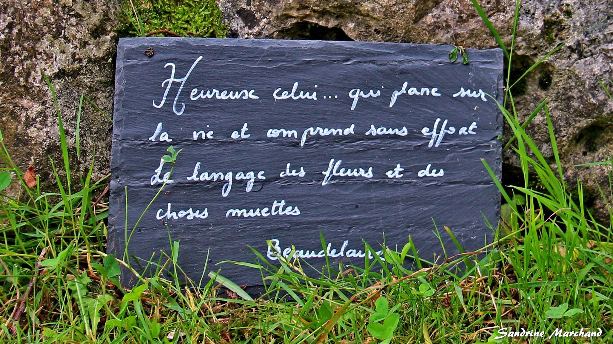 Le Jardin de Boissonna, Baleyssagues - photo 12