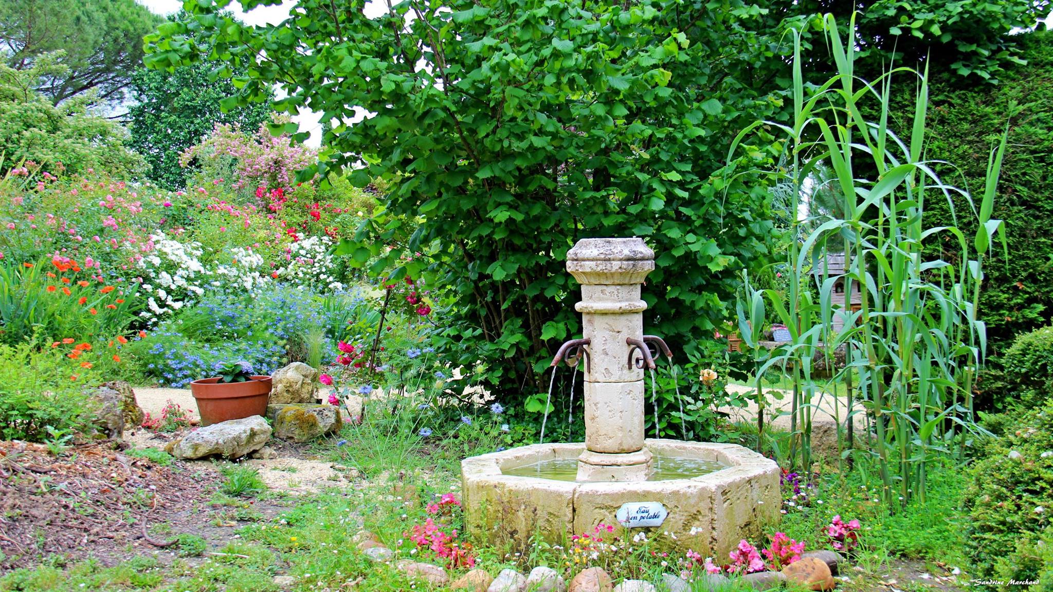 Le Jardin de Boissonna, Baleyssagues - photo 21