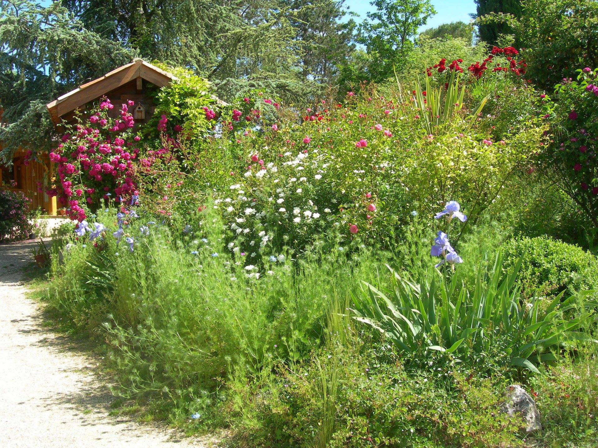 Le Jardin de Boissonna, Baleyssagues - photo 18
