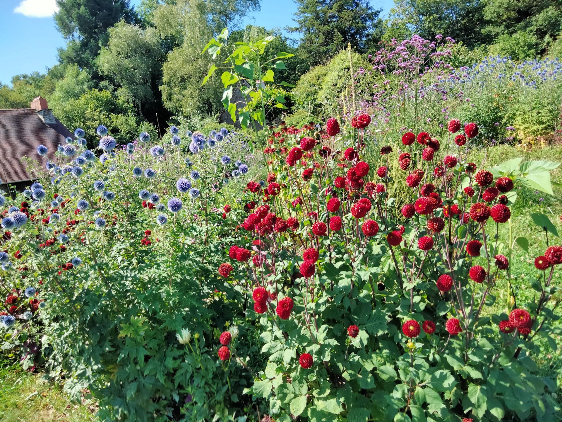 Jardin de Giulio, Ségur-le-Château - photo 2
