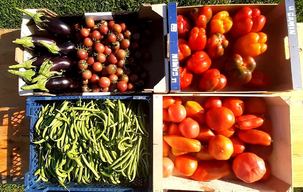 Les Jardins de l'Ardour — photo 3