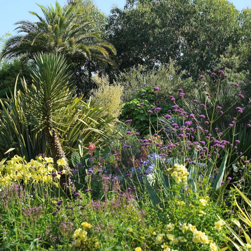 Jardin des Barthes, un jardin remarquable, Saubrigues - photo 4