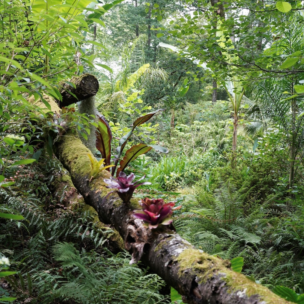 Jardin des Barthes, un jardin remarquable