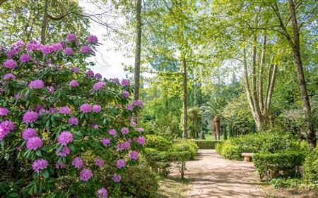 Le jardin des Thermes Le jardin des Thermes