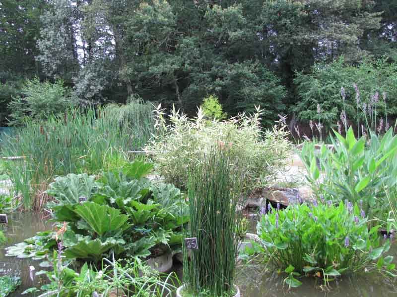 Jardin du parc de Feeriland, Veyrac