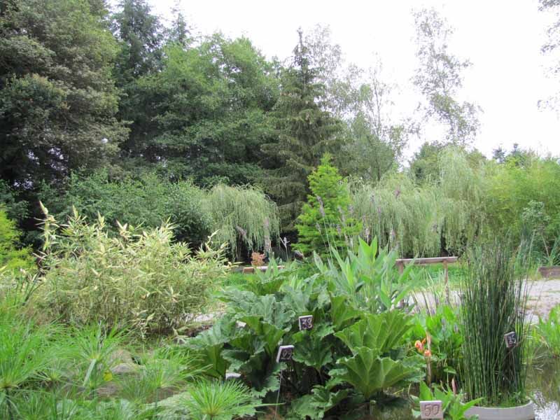 Jardin du parc de Feeriland, Veyrac - photo 2