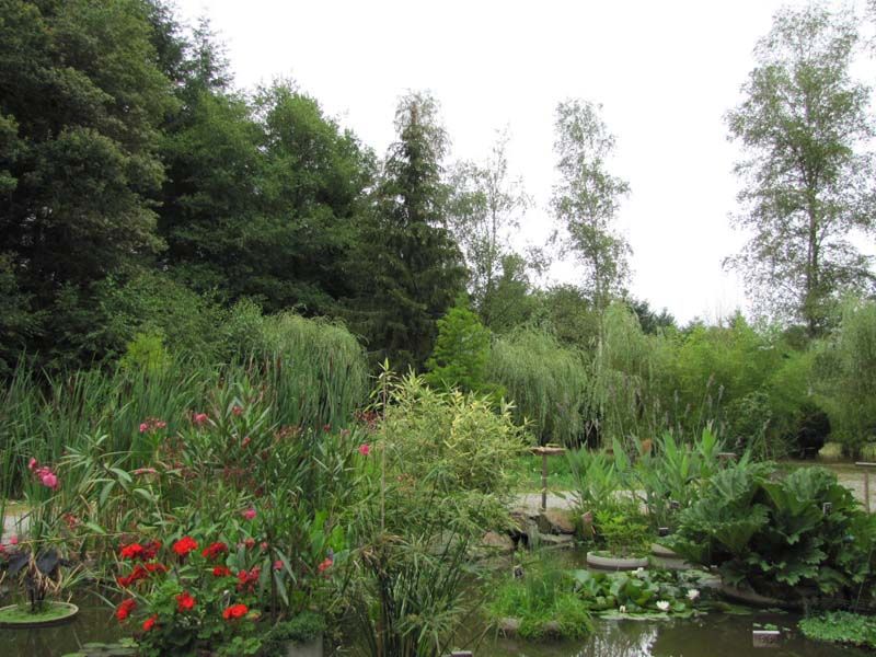 Jardin du parc de Feeriland, Veyrac - photo 3