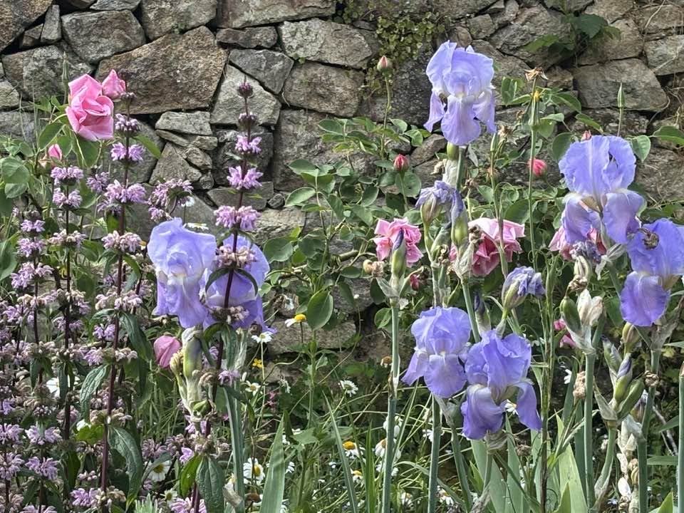 Promenade gourmande - château de Losmonerie, Aixe-sur-Vienne
