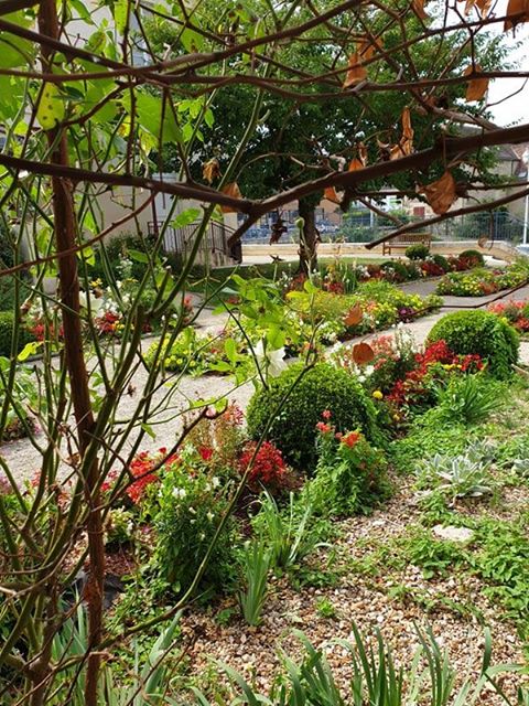 Jardin de René à La Roche-Posay - photo 3