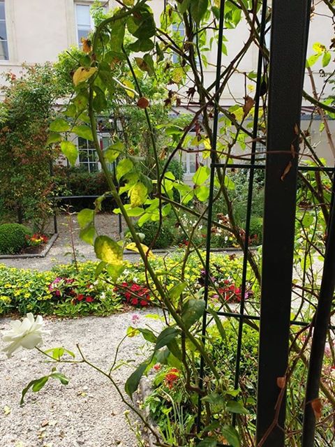 Jardin de René à La Roche-Posay - photo 2