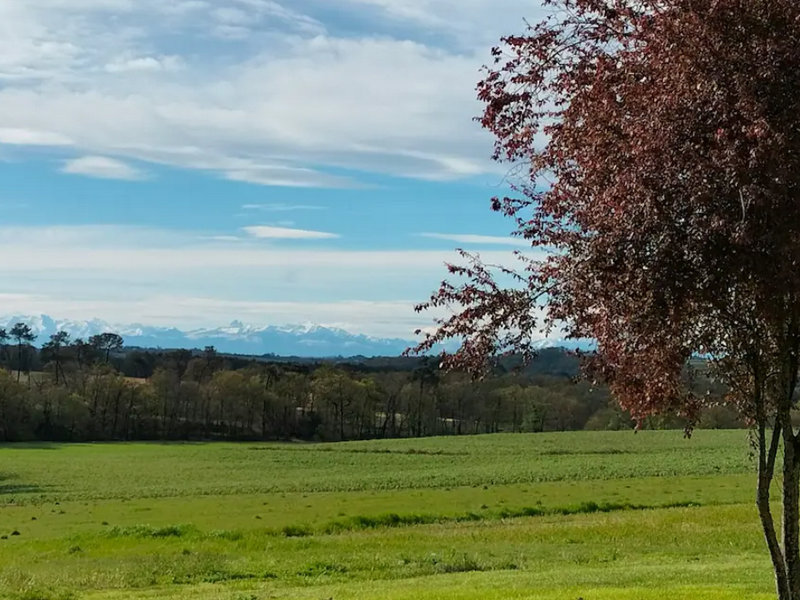 Peyron, Larbey - photo 3