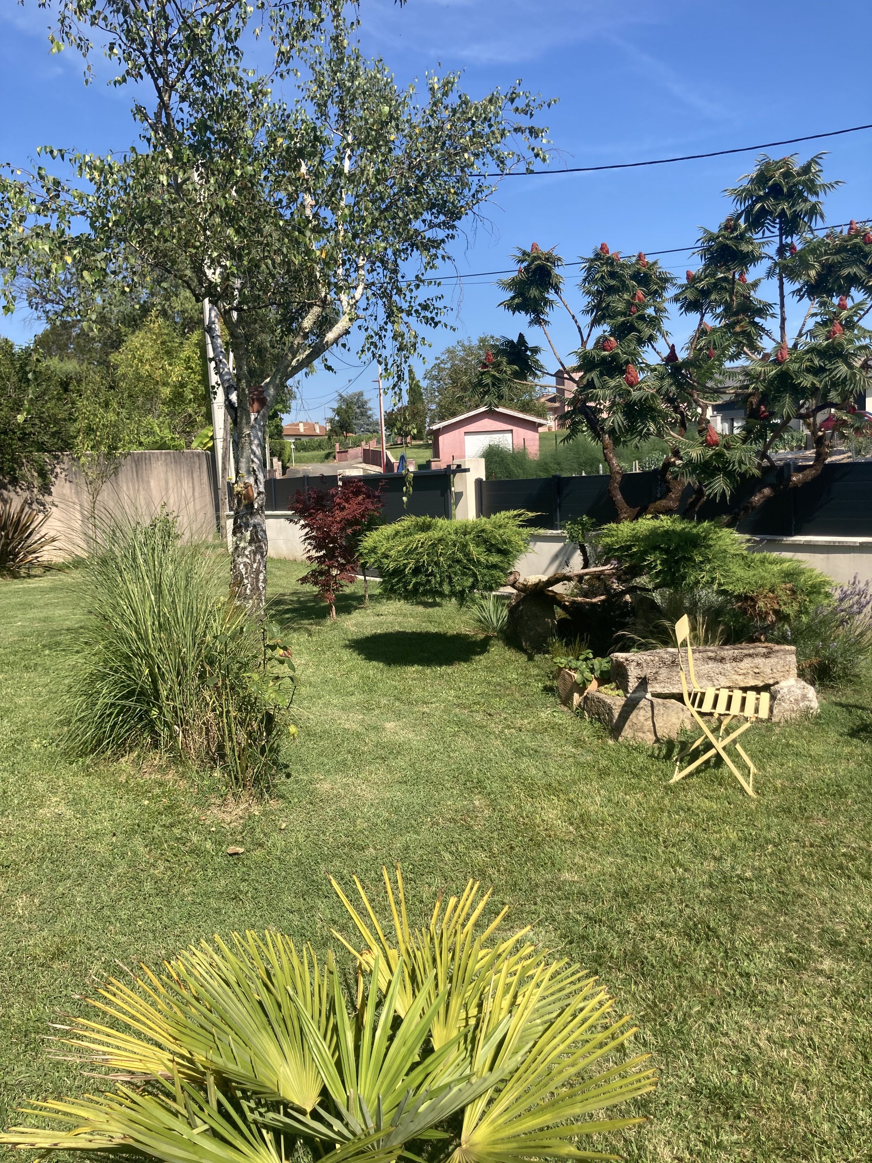 L'ancien chai, Laroque - photo 21